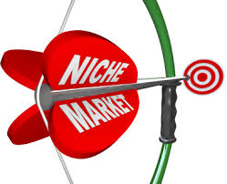 Choosing the right niche