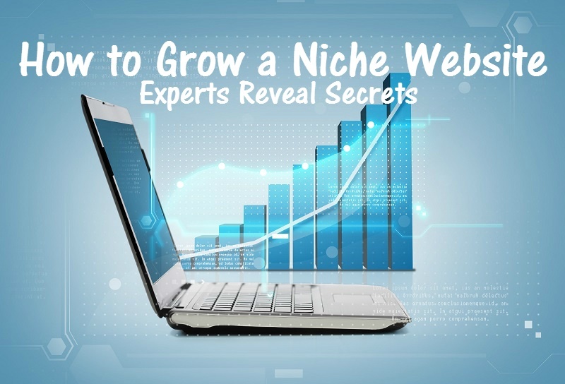 Scaling Your Niche Website